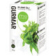 Phytopharma Thé Gurmar, portionné 20 x 1,5 g