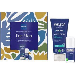 Weleda Set cadou de îngrijire a corpului pentru bărbați