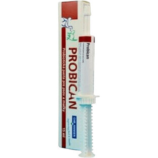 Pâte de probican 15 ml