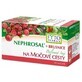 Fyto Pharma Tisana al mirtillo rosso per le vie urinarie 20 x 1,5 g