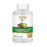 Hemoroplant, 120 tablets, Ayurmed