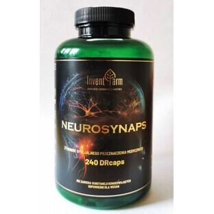 Neurosynaps 240 Kapseln Invent Farm