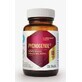 Picnogenolo 60 capsule Hepatica