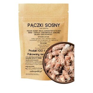 Pine shoots 50g ZIELARZPOLSKI