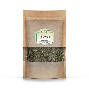 Melisse plant, 200 g