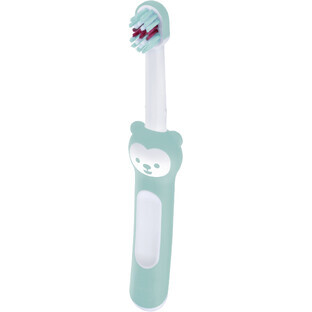 Tandenborstel MAM Babyborstel turquoise, 6m+