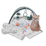 5 in 1 multifunctional activity center, Minky, Milly Mally