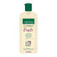 Moisturizing shampoo for curly hair Treatment Expert Curls, 250 ml, Gerovital