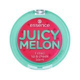 Balsam colorat pentru buze si obraji Juicy Melon, Roz, 3 g, Essence