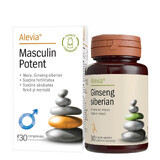 Male Potent + Sibirischer Ginseng 30 Tabletten, 30 + 30 Tabletten