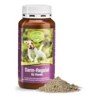 Darm regulat for dogs for digestion 160 g - Tierlieb Sanct Bernhard