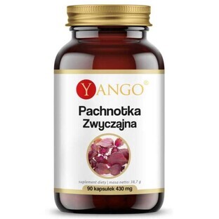 Gewone patchoeli - 90 capsules Yango