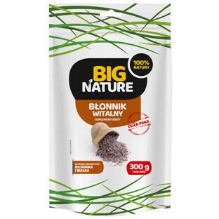 Big Nature Vital Fiber, 300 g