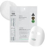 Reedle Shot 100 gezichtsmasker, 1 stuk, VT Cosmetics