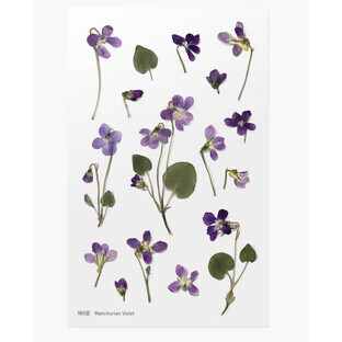 Decoratieve bloemenstickers Violet