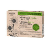 Ginkgo Forte with lecithin, 30 tablets