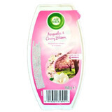 Air Wick, Gel-Lufterfrischer, Magnolie, 150g