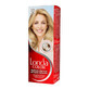 Londa, Coloration 10/8 Platinum Silver