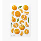 Decorative stickers fruit Mandarin Appree