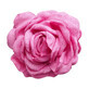 Ecarla Épingle à cheveux décorative en forme de rose Fuchsia