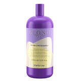 Inebrya Shampooing pour cheveux blonds décolorés et cheveux gris, 1000ml