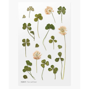 Adhesivos florales decorativos Trébol