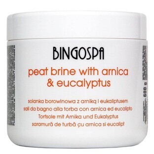 BingoSpa Schlammsole mit Arnika und Eukalyptus, 600 g