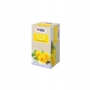 Santé Famille Pissenlit, 20 sachets