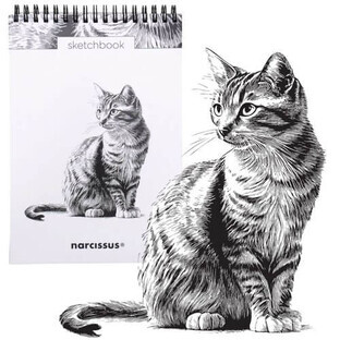 Sketchbook A5 verticale su spirale Cat 60k con perforazione 120 gsm