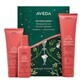 Aveda Nutriplenish Haarshampoo-Set, 100 ml + Haarspülung, 100 ml + Leave-in Conditioner, 150 ml