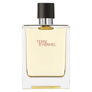Hermes Terre D Hermes Eau de Toilette, 100 ml