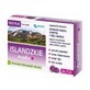 Icelandic Medic+, 24 pastillas para chupar