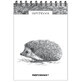 Album di schizzi A5 verticale su spirale Hedgehog