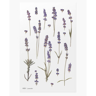 Decoratieve stickers bloemen lavendel