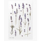 Decoratieve stickers bloemen lavendel