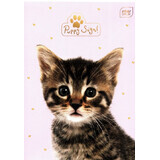 Puppy Sign A5 cuaderno con 16 hojas UV Puppy Sign 20 pcs mezcla