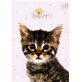 Puppy Sign A5 cuaderno con 16 hojas UV Puppy Sign 20 pcs mezcla