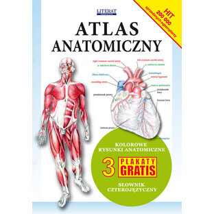 Anatomischer Atlas
