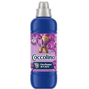 Coccolino Purple Orchid amp; Blaubeeren Spülung, 925 ml