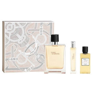Hermes Terre D Hermes Set Eau de Toilette, 100 ml + Eau de Toilette, 15 ml + Duschgel, 40 ml