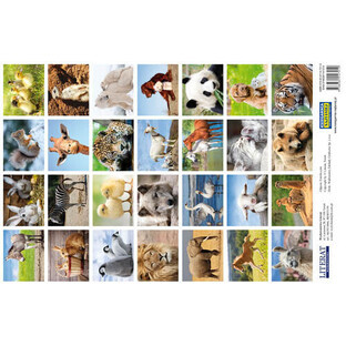 Autocollants Animaux