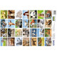 Autocollants Animaux
