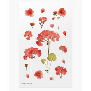Adesivi decorativi con fiori di geranio