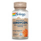 Cordyceps, 60 gélules, Solaray
