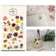 Stickers décoratifs Fleurs Vintage Suatelier