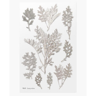 Autocollants pour plantes décoratives Fleur de sureau