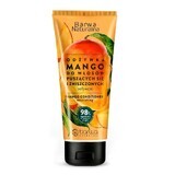 Barwa Conditioner for frizzy and damaged hair Mango, 200ml
