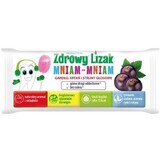 Gezonde Yummy Yummy Lolly keel, strottenhoofd, stembanden, 1 stuk
