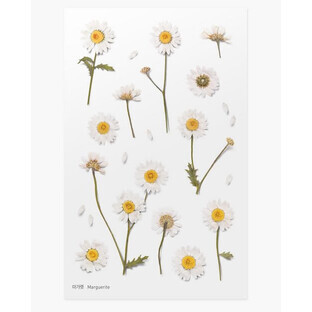 Pegatinas decorativas de flores Margarets