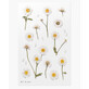Pegatinas decorativas de flores Margarets